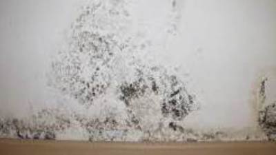 حل نهائي وسريع لإزالة العلامات السوداء من الحائط