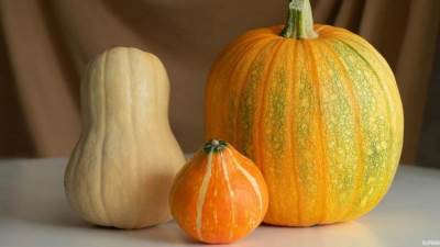 بدلًا من أكله.. فوائد القرع تغذية البشرة والحفاظ على نضارتها ونعومتها