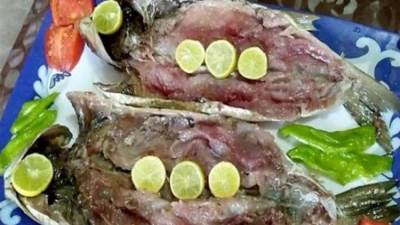 هاني الناظر يحذر من تناول الفسيخ لهذه الأسباب