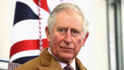 الأمير تشارلز يخطط لطرد هارى وميجان بشكل نهائى من العائلة المالكة