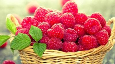 فاكهة مهملة مضادة للجراثيم .. تعرفي عليها