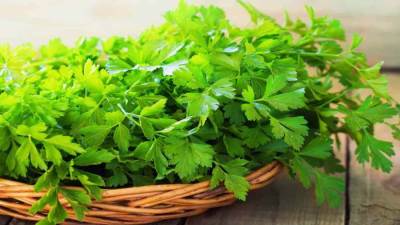  فوائد صحية مذهلة للبقدونس .. تعرفي عليها