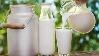 بحث جديد يركز على حليب البقر كمصدر محتمل للسيطرة على كورونا