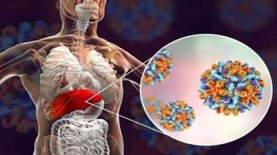 هل يؤثر فيروس كورونا على صحة الكبد؟