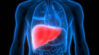 هل تعلمي أن العلاج بموجات الراديو آمن لمرضى سرطان الكبد؟