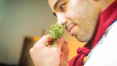 أسباب وعلاج فقدان التذوق والشم وهؤلاء أكثر عرضة للإصابه؟