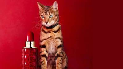 لامرأة جريئة تمتلك سحرا واستقلالية.. عطر Cacharel Yes I Am Eau de Parfum Collector Edition