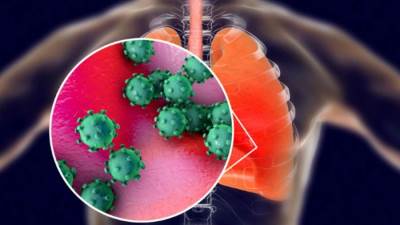 الكشف عن الأعضاء البشرية الأكثر عرضة للإصابة بفيروس كورونا