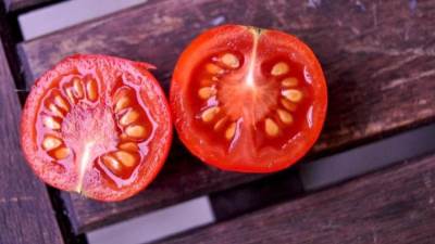 هل بذور الطماطم سامة؟ .. اعرف الحقيقة