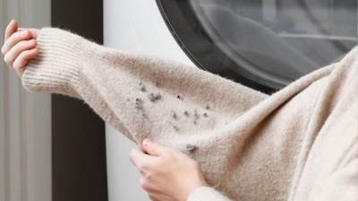 طرق فعالة لإزالة الوبر من الملابس 