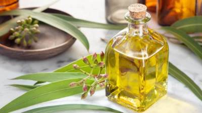 3 فوائد غير متوقعة لاستخدام الكافور على الصحة