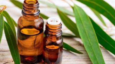 معلومة مذهلة.. زيت يساعد في علاج هشاشة العظام 