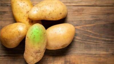 البقع الخضراء على البطاطس.. ما مدى خطورتها؟