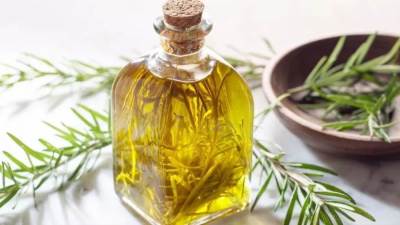 تعرفي على فوائد إكليل الجبل المتعددة 