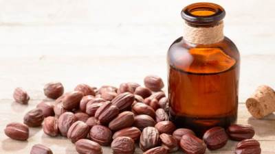 زيت الجوجوبا.. لترطيب بشرتك المختلطة في الخريف