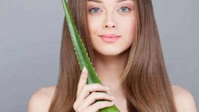 فوائد جل الألوفيرا للشعر في فصل الشتاء